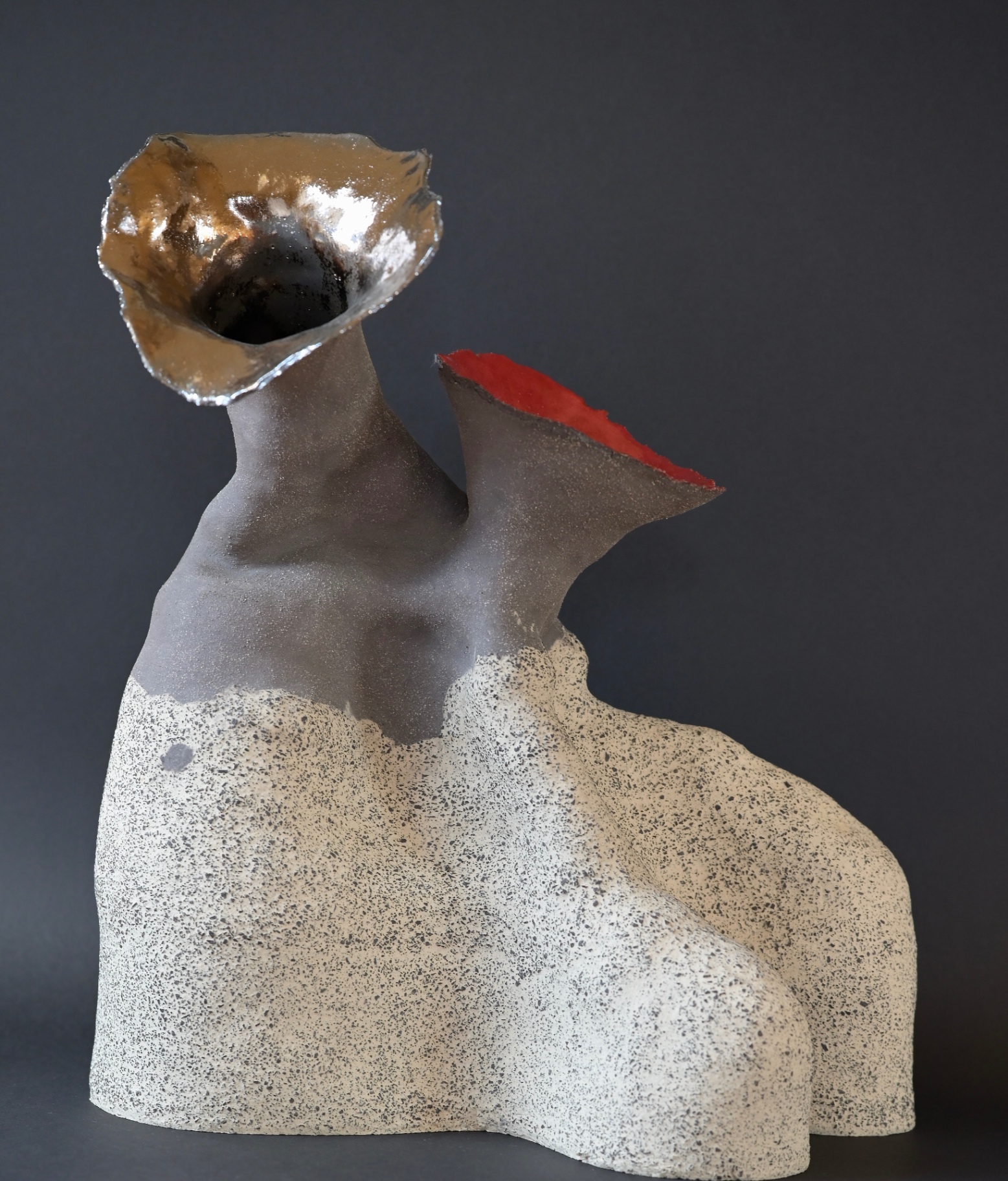 The Other Within, frontal view