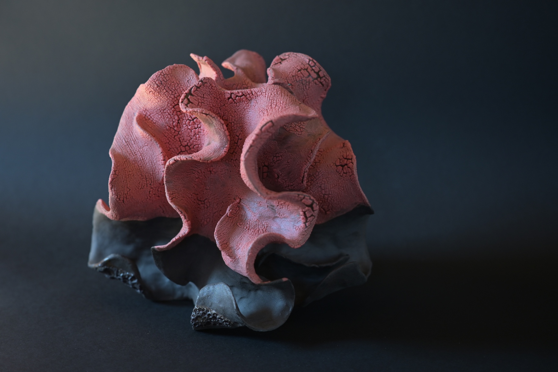 Unfurling, wide editorial view