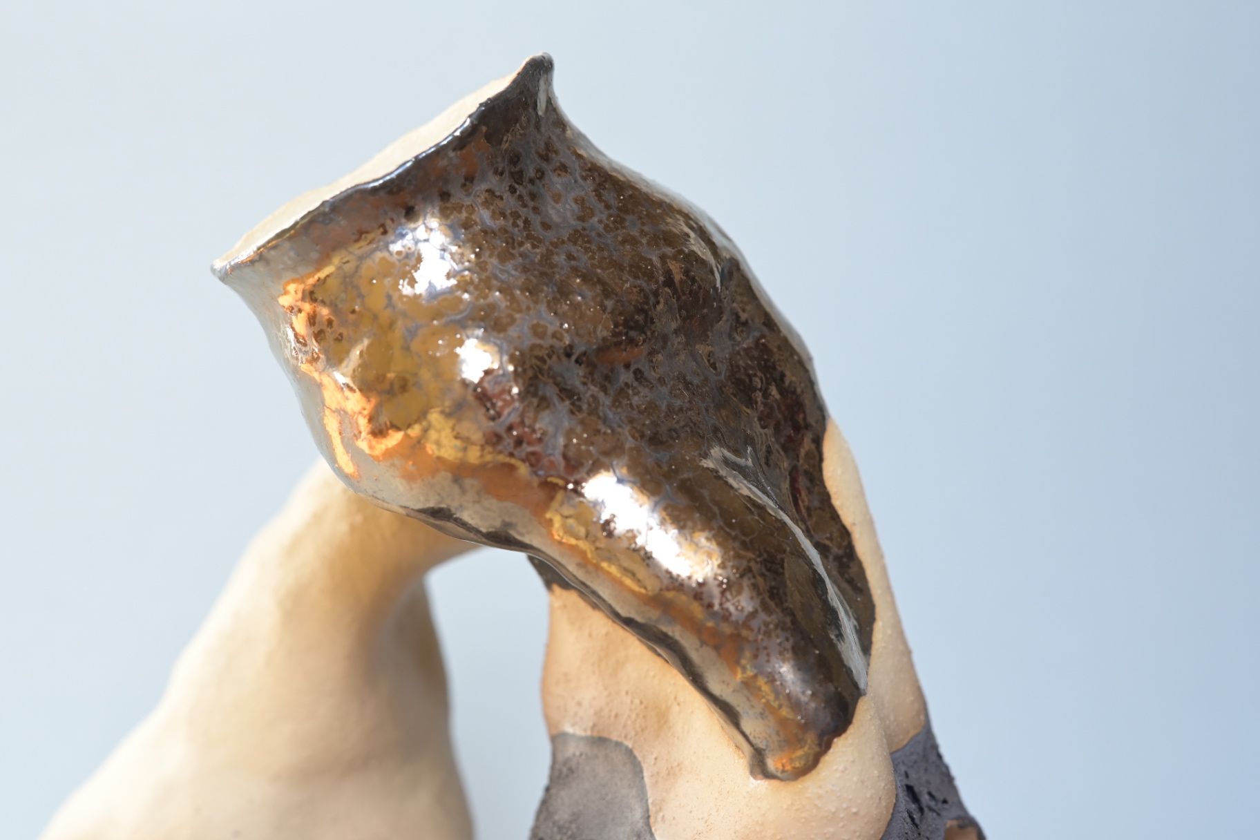 Detail of Vital Inertia showing metallic glaze