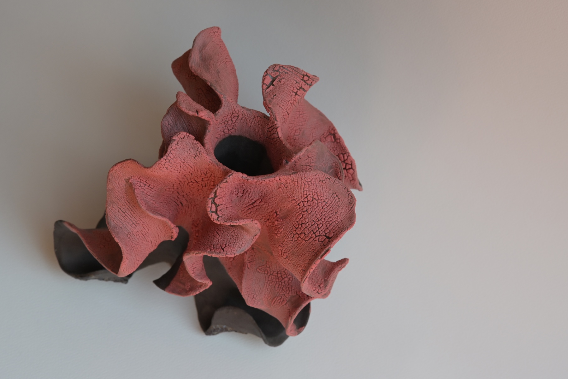 Unfurling, alternative view on a light background